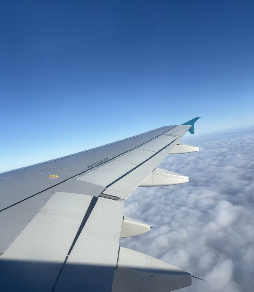 Flight to Dublin